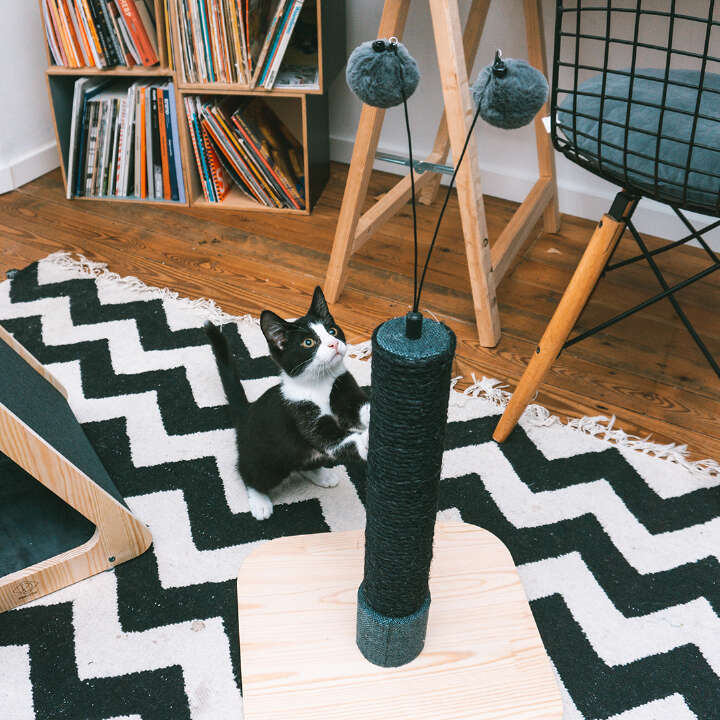 D&D HOME Katzen-Kratzbaum "Pipa"